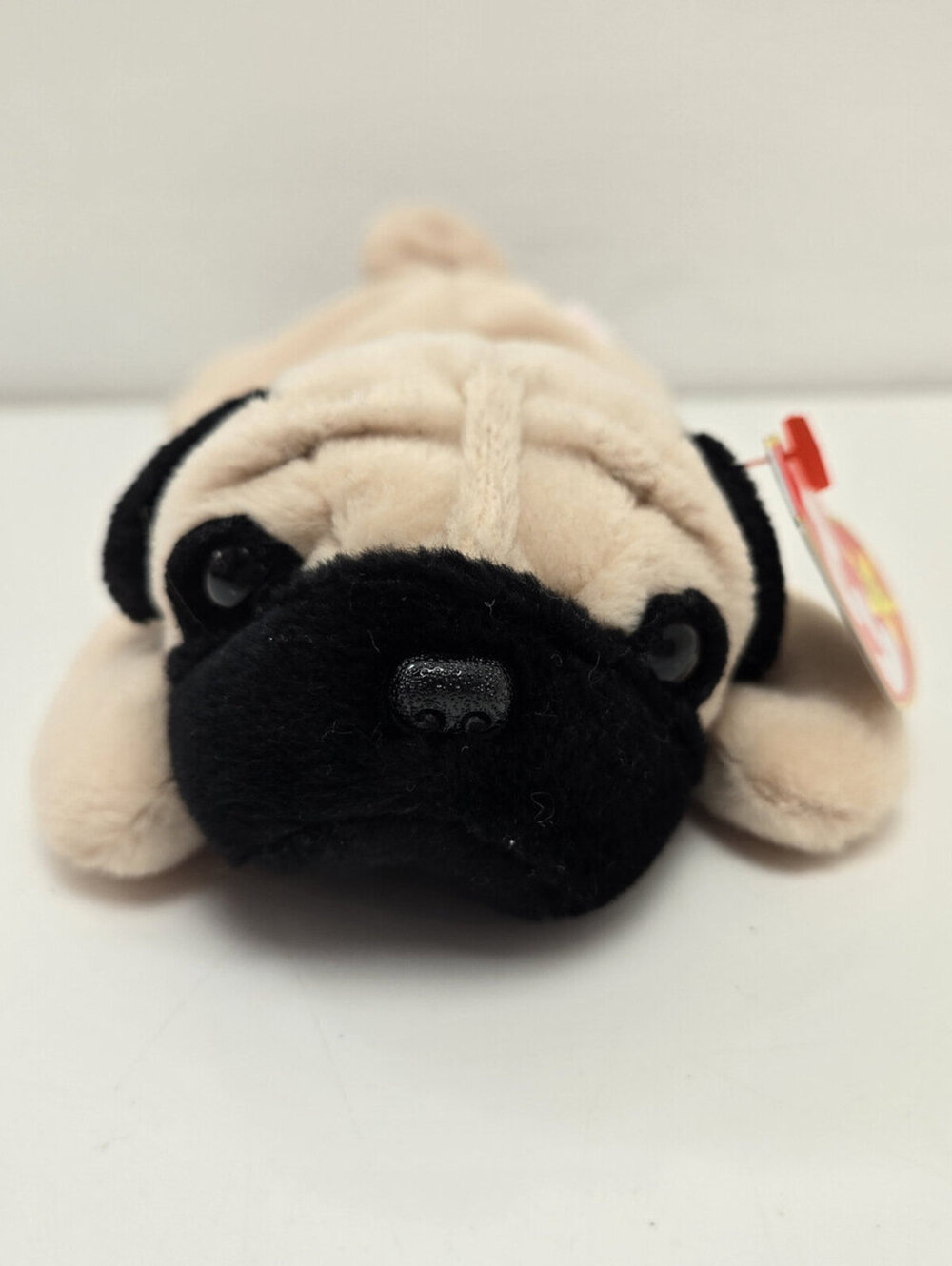 Ty Beanie Baby “Pugsly” the Pug ! (8 inch)